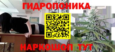 метадон Донской